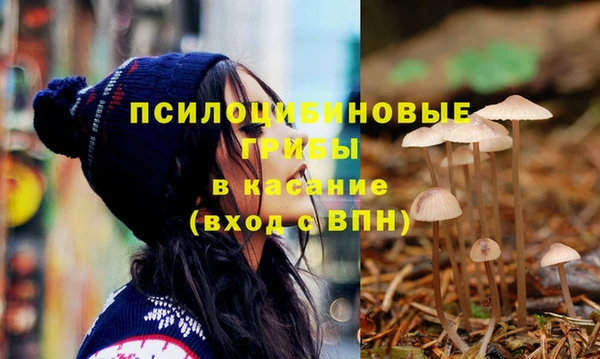 соль ск Абаза