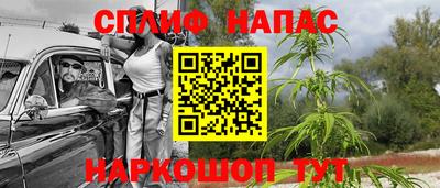 гидра Заволжье