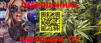 гидра Заволжье