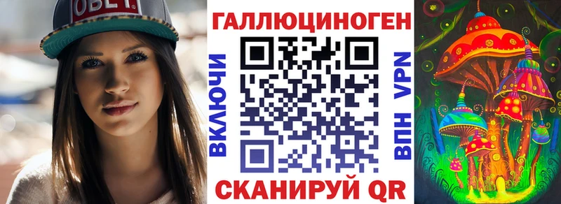 Галлюциногенные грибы Psilocybe  Новоалександровск 