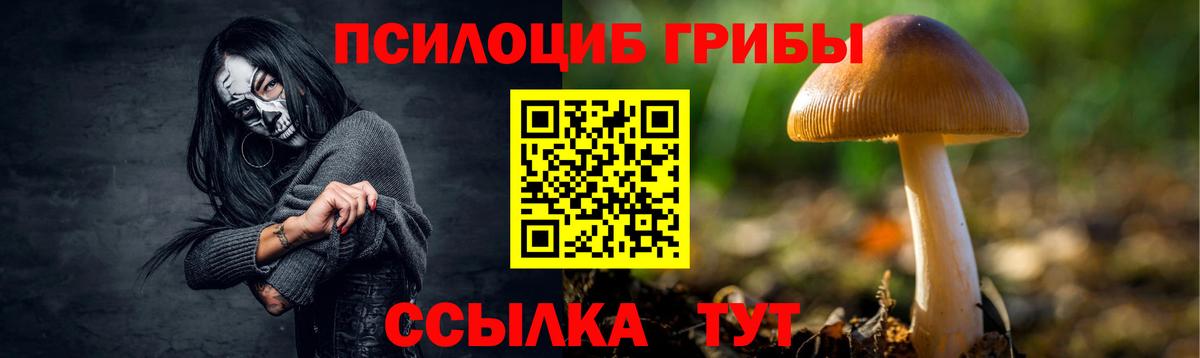 Псилоцибиновые грибы Psilocybine cubensis  Вход с VPN  Новоалександровск 
