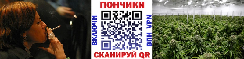 Шишки марихуана OG Kush  mega как войти  Новоалександровск 