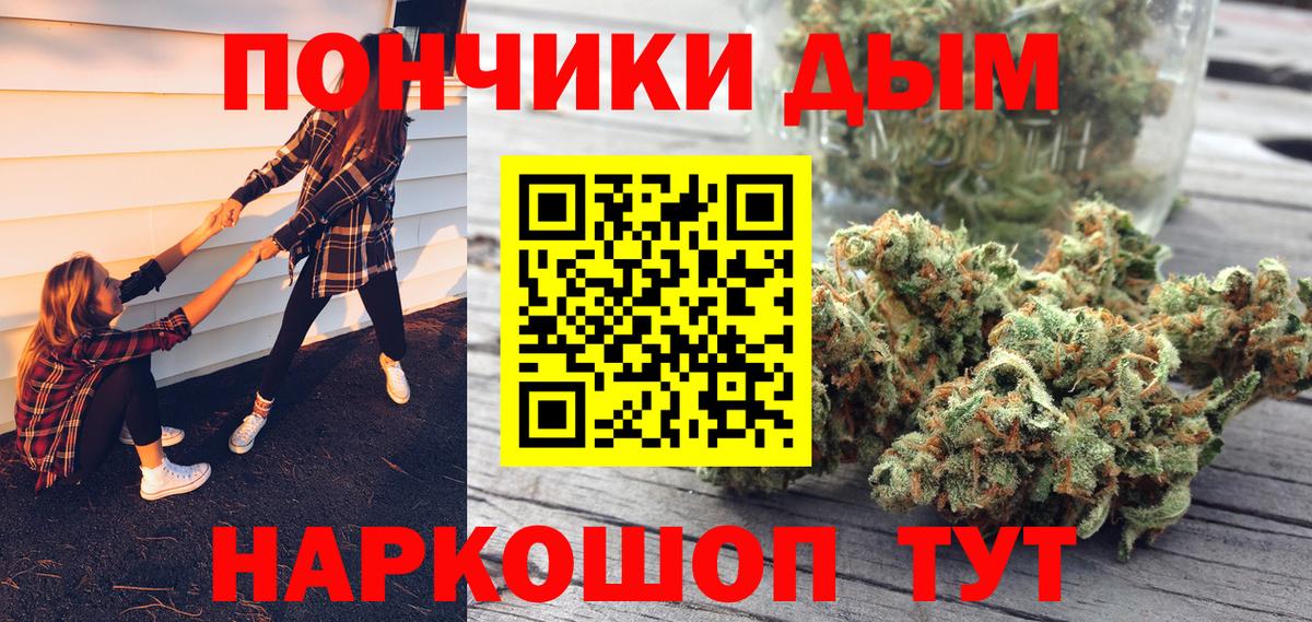 Шишки марихуана марихуана Новоалександровск